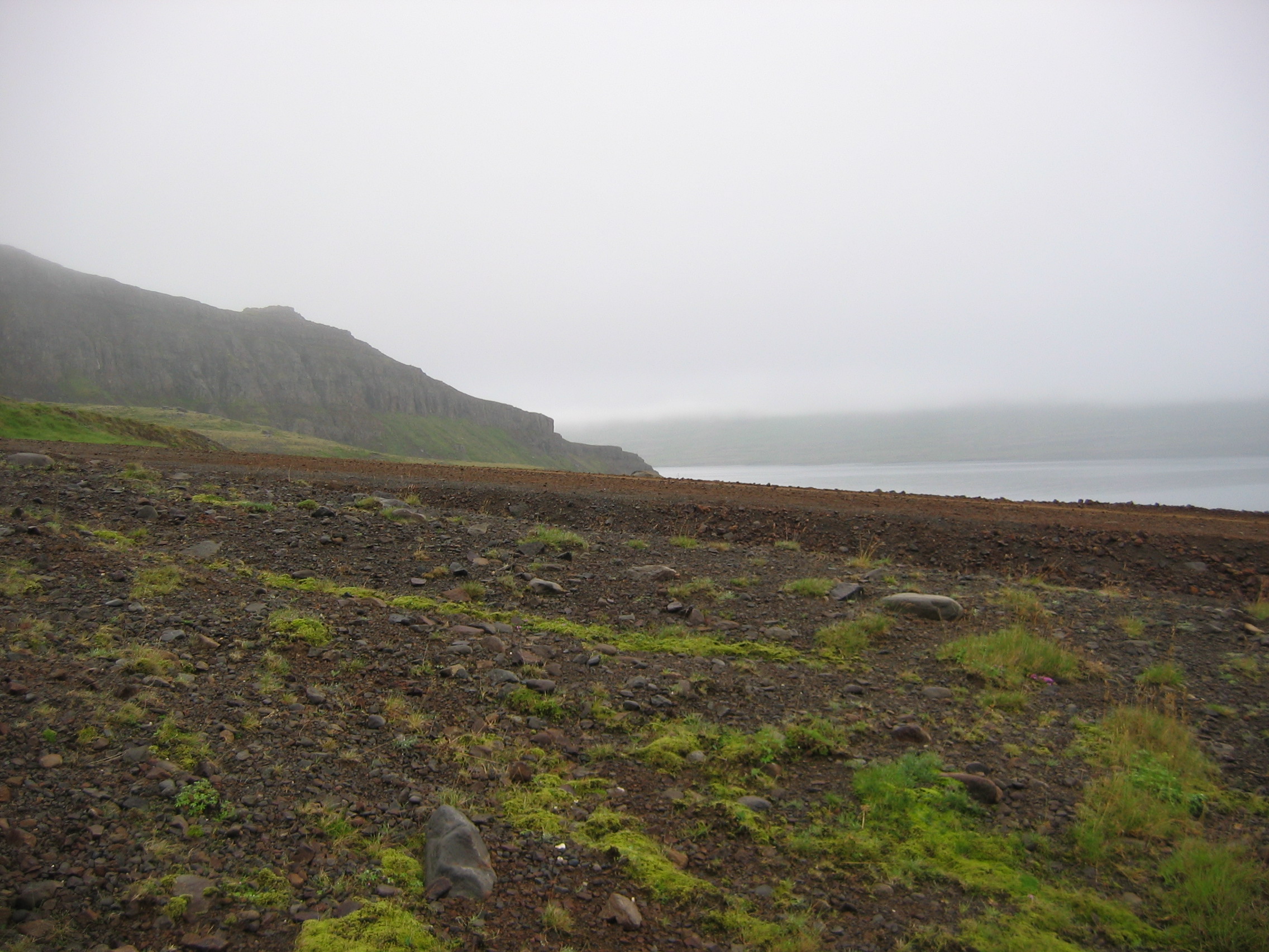 basqueicelandic pidgin